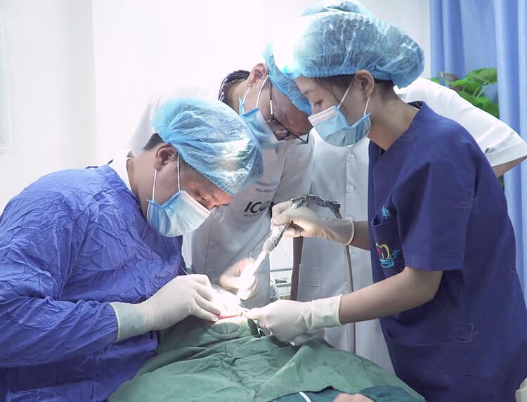 Nha khoa tổng quát giá bao nhiêu? Cập nhật bảng giá nha khoa 2021 mới nhất